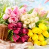 Colorful tulip bouquets, fresh flower delivery, festival gifts, birthday proposals, romantic starry sky combinations Specification image